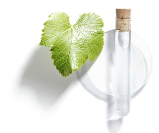 Viniferin
